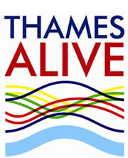 Thames Alive